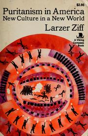 Cover of: Puritanism in America: new culture in a new world. by Larzer Ziff