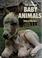 Cover of: The love of baby animals
