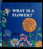 Cover of: What is a flower? by Jenifer W. Day