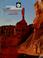Cover of: A photographic and comprehensive guide to Zion & Bryce Canyon National Parks.