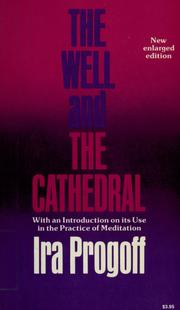 Cover of: The well and the cathedral: a cycle of process meditation : with an introduction on its use in the practice of meditation