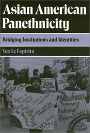 Cover of: Asian American panethnicity: bridging institutions and identities