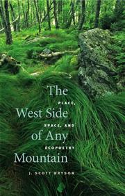 Cover of: The west side of any mountain: place, space, and ecopoetry