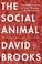 Cover of: The social animal : the hidden sources of love, character, and achievement / s.