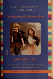 Cover of: The Blessing of a Skinned Knee by Wendy Mogel