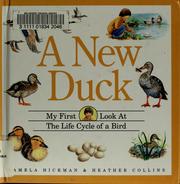 Cover of: A New Duck : My First Look at the Life Cycle of a Bird (My First Look at Nature)