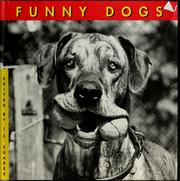 Cover of: Funny dogs