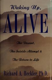 Cover of: Waking up, alive: the descent, the suicide attempt, and the return to life