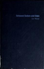 Cover of: Between Sodom and Eden: a gay journey through today's changing Israel