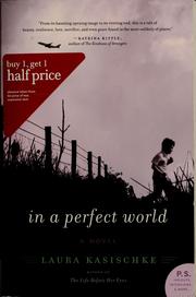 Cover of: In a perfect world: a novel