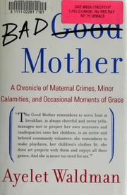 Cover of: Bad mother by Ayelet Waldman
