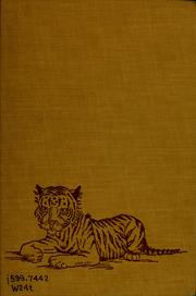 Cover of: The tigers of Como Zoo by Edythe Records Warner