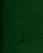 Cover of: The boy, the rat, and the butterfly