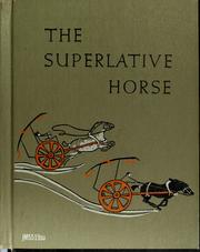 Cover of: The superlative horse