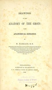 Cover of: Drawings of the anatomy of the groin: with anatomical remarks