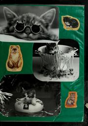 Cover of: Cats, cats, cats, cats, cats, cats. by John R. Gilbert