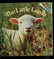 Cover of: The little lamb