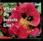 Cover of: Where do insects live?