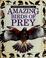 Cover of: Amazing birds of prey