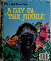 Cover of: A day in the jungle by Pat Patterson