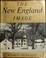 Cover of: The New England image.