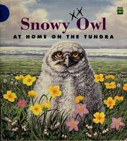Cover of: Snowy owl