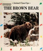 Cover of: The brown bear: giant of the mountains