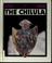Cover of: The Chilulas
