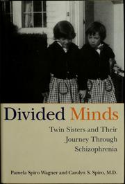 Divided minds by Pamela Spiro Wagner