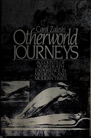 Cover of: Otherworld journeys