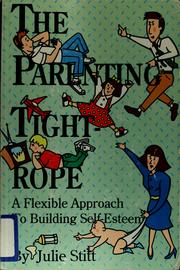 Cover of: The parenting tightrope