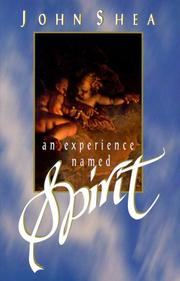 Cover of: An experience named Spirit