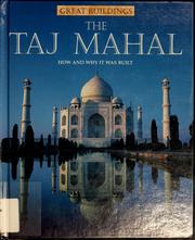 The Taj Mahal by Christine Moorcroft