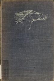 Cover of: The silver brumby by Elyne Mitchell