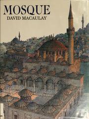 Mosque by David Macaulay