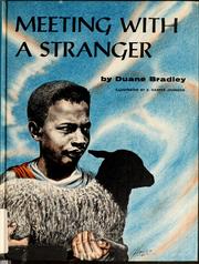 Cover of: Meeting with a stranger by Duane Bradley