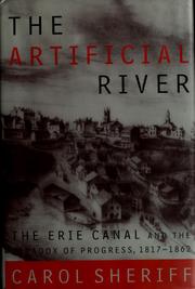 Cover of: The artificial river