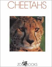 Cheetahs by Linda C. Wood, J. Bonrett, Cynthia L. Jenson