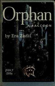 Cover of: Orphan: a raccoon