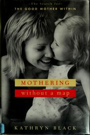 Cover of: Mothering without a map: the search for the good mother within