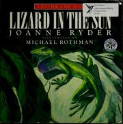 Cover of: Lizard in the sun by Joanne Ryder