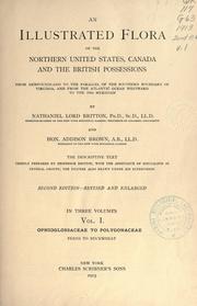 Cover of: An Illustrated Flora of the Northern United States, Canada and the British Possessions, Vol. 1: from Newfoundland to the parallel of the southern boundary of Virginia, and from the Atlantic Ocean westward to the 102d meridian
