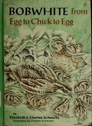 Cover of: Bobwhite: from egg to chick to egg