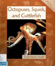 Cover of: Octopuses, squids, and cuttlefish