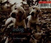 Cover of: A dog for all seasons by Jim Dratfield