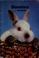 Cover of: Bunnies as pets