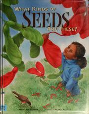 What kinds of seeds are these? by Heidi Roemer