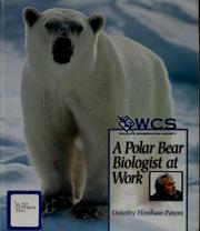 A polar bear biologist at work by Dorothy Hinshaw Patent
