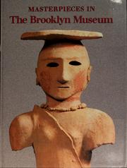 Cover of: Masterpieces in the Brooklyn Museum. by Brooklyn Museum