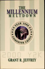 Cover of: The millennium meltdown